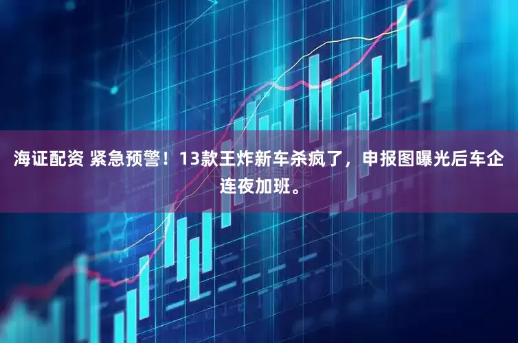 海证配资 紧急预警！13款王炸新车杀疯了，申报图曝光后车企连夜加班。