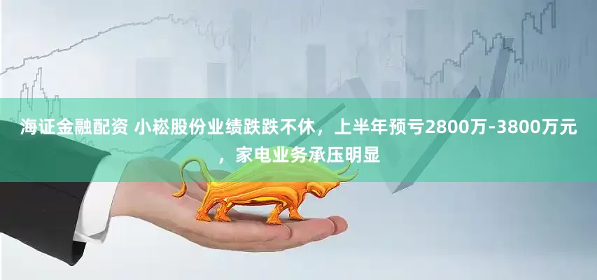 海证金融配资 小崧股份业绩跌跌不休，上半年预亏2800万-3800万元，家电业务承压明显