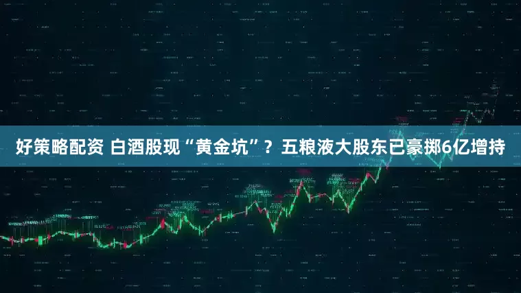 好策略配资 白酒股现“黄金坑”？五粮液大股东已豪掷6亿增持