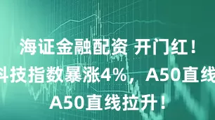 海证金融配资 开门红！恒生科技指数暴涨4%，A50直线拉升！