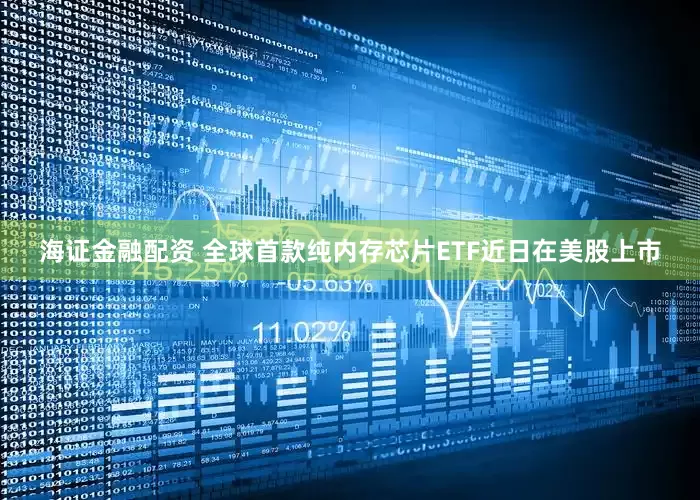 海证金融配资 全球首款纯内存芯片ETF近日在美股上市